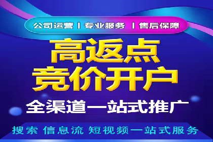 推广竞价实战技巧：从成功案例中汲取经验